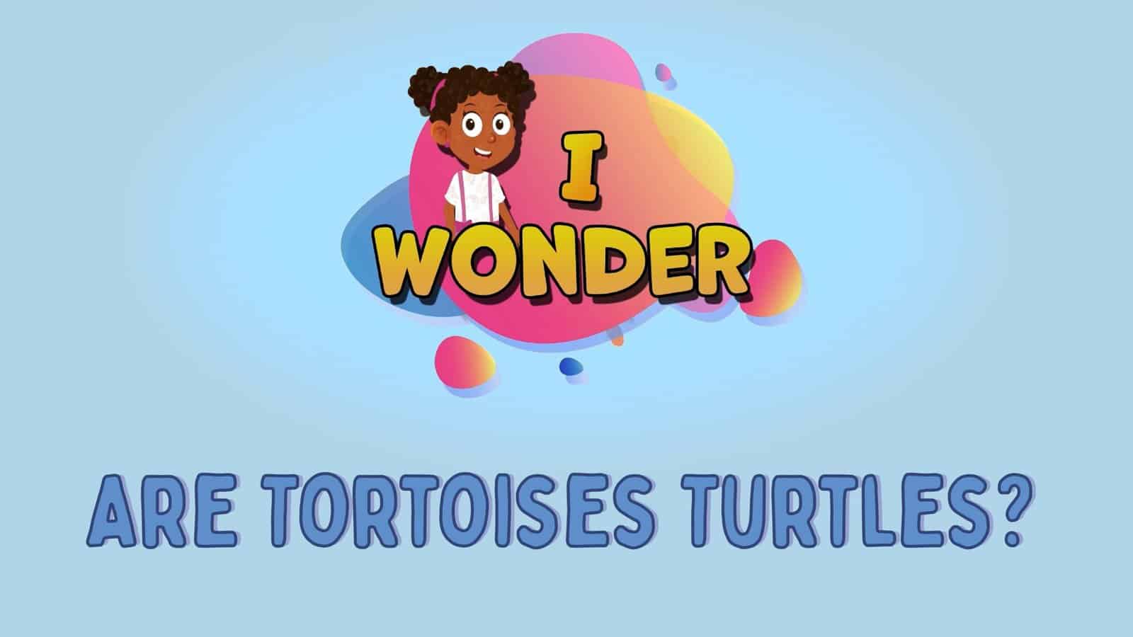 Are Tortoises Turtles?
