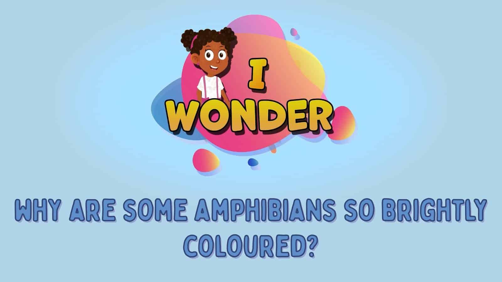 Why Are Some Amphibians So Brightly Coloured?