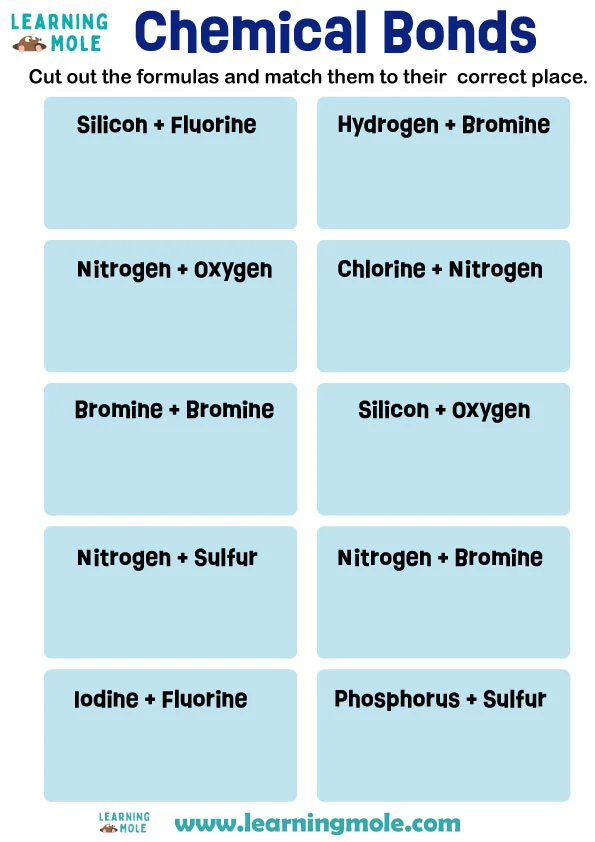 Chemical Bonds Activity