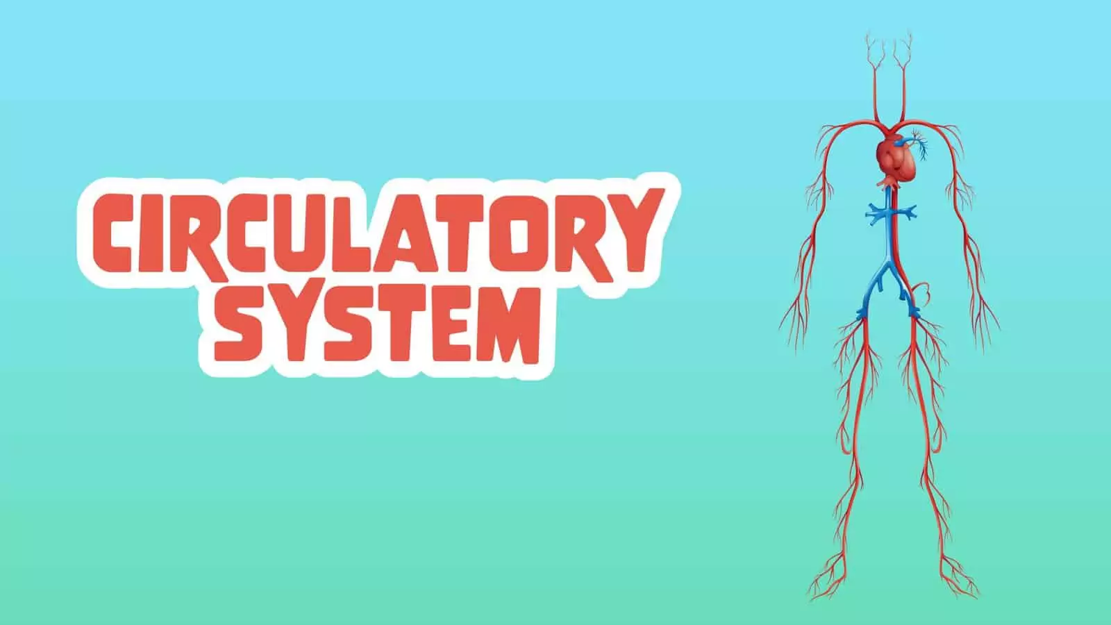 Circulatory System LearningMole