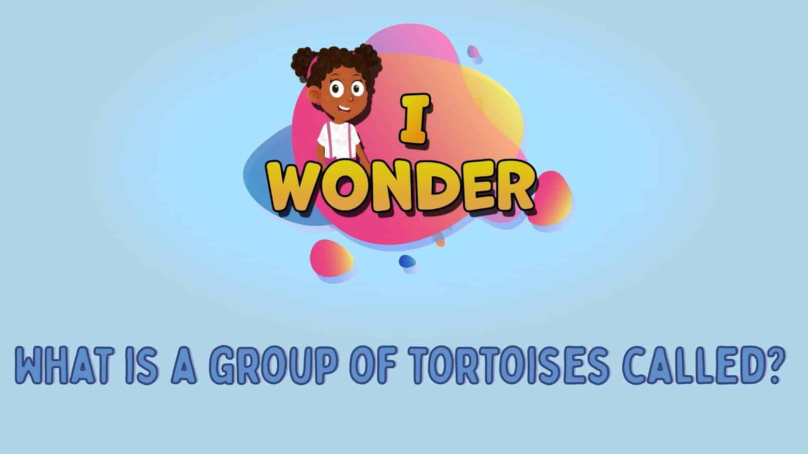 What Is A Group Of Tortoises Called?