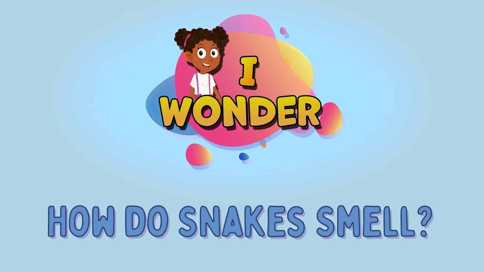 How Do Snakes Smell?