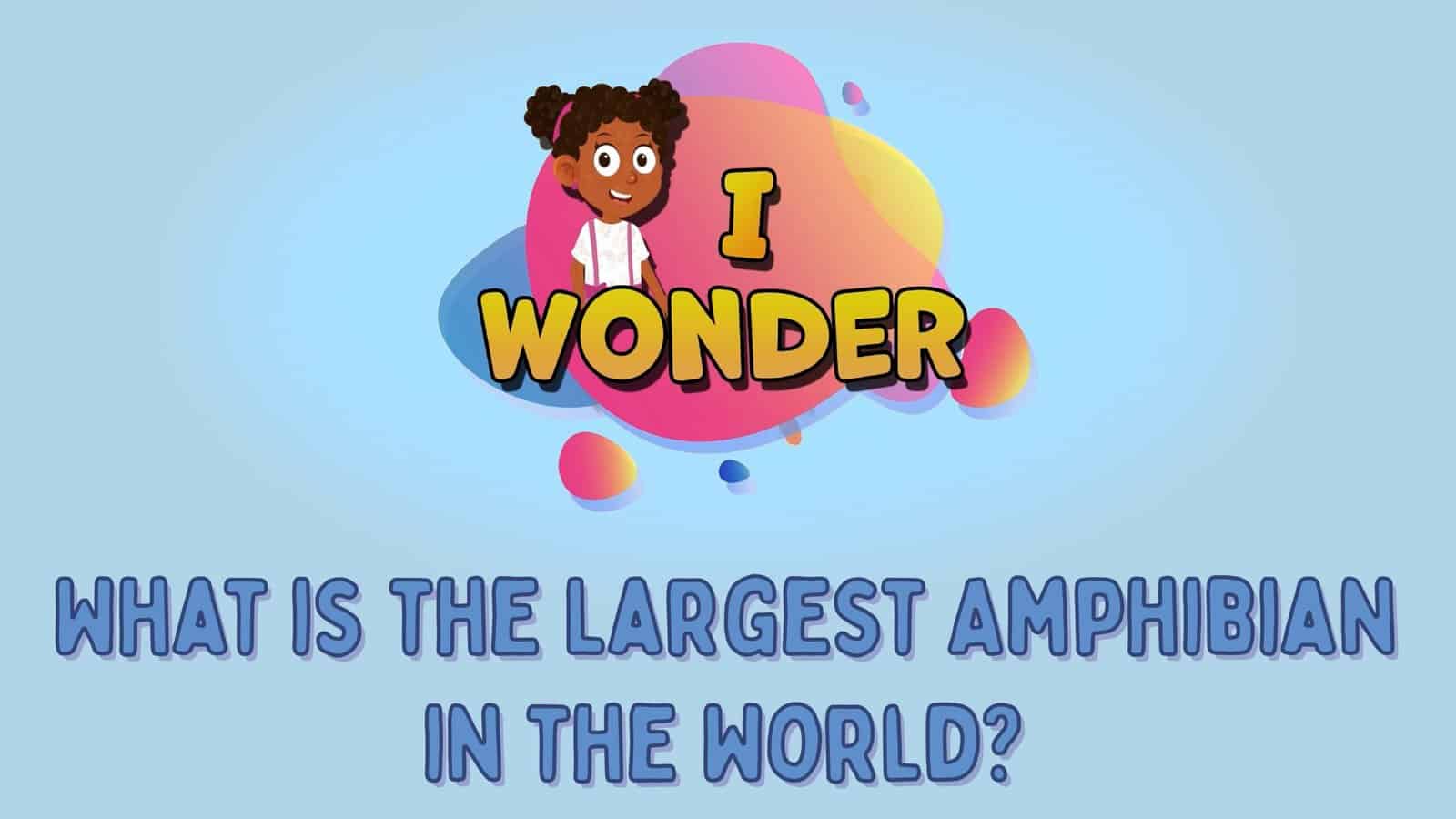 What Is The Largest Amphibian In The World?