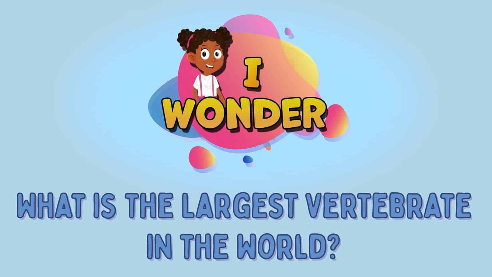 What Is The Largest Invertebrate In The World?
