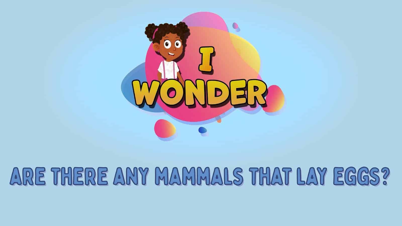 Are There Any Mammals That Lay Eggs?
