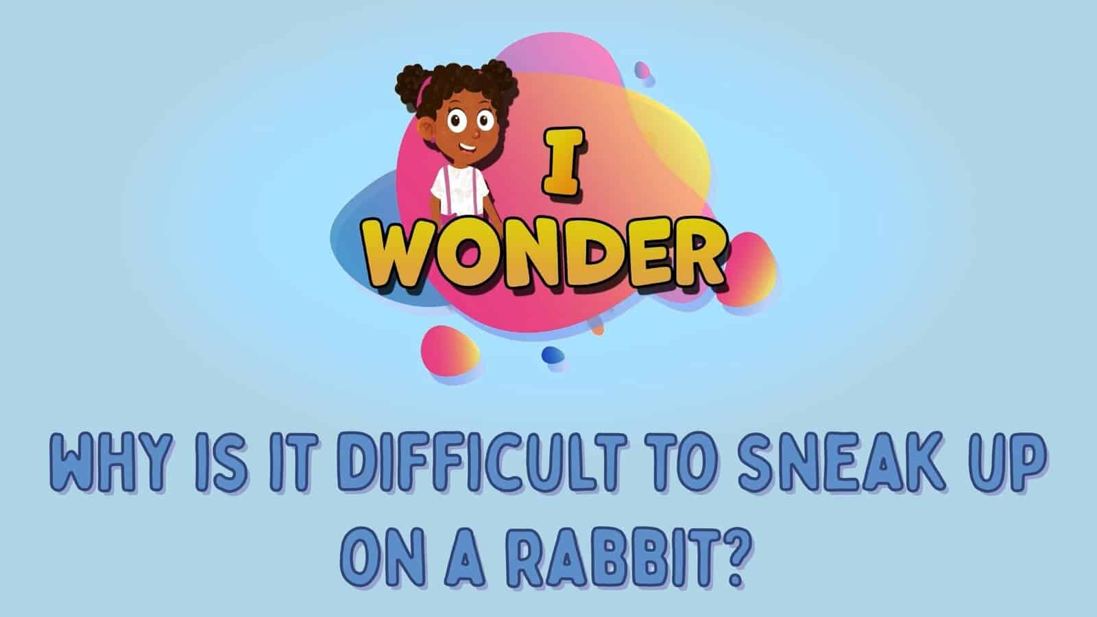 Why Is It Difficult To Sneak Up On A Rabbit?
