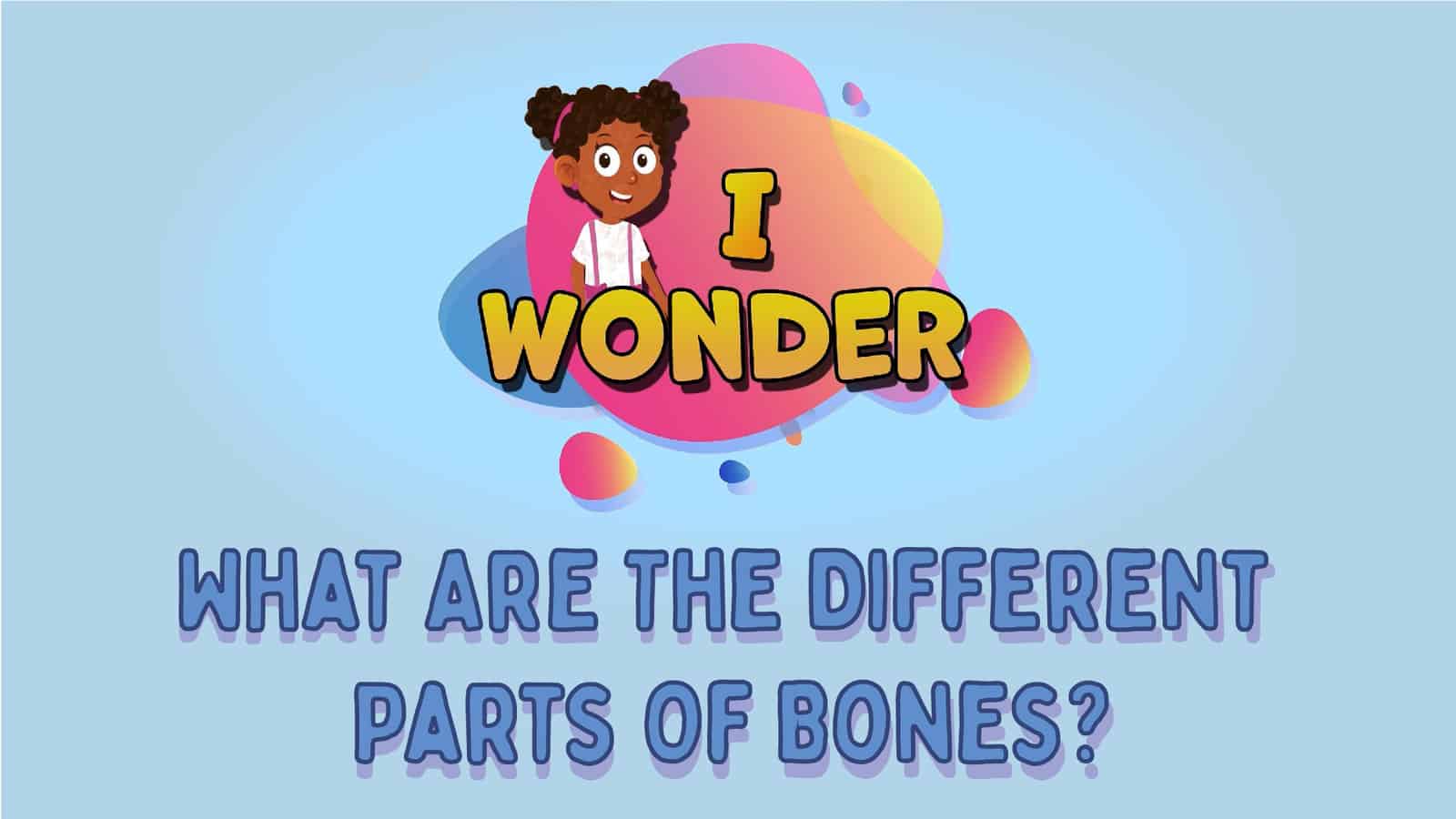 Different Parts Of Bones LearningMole