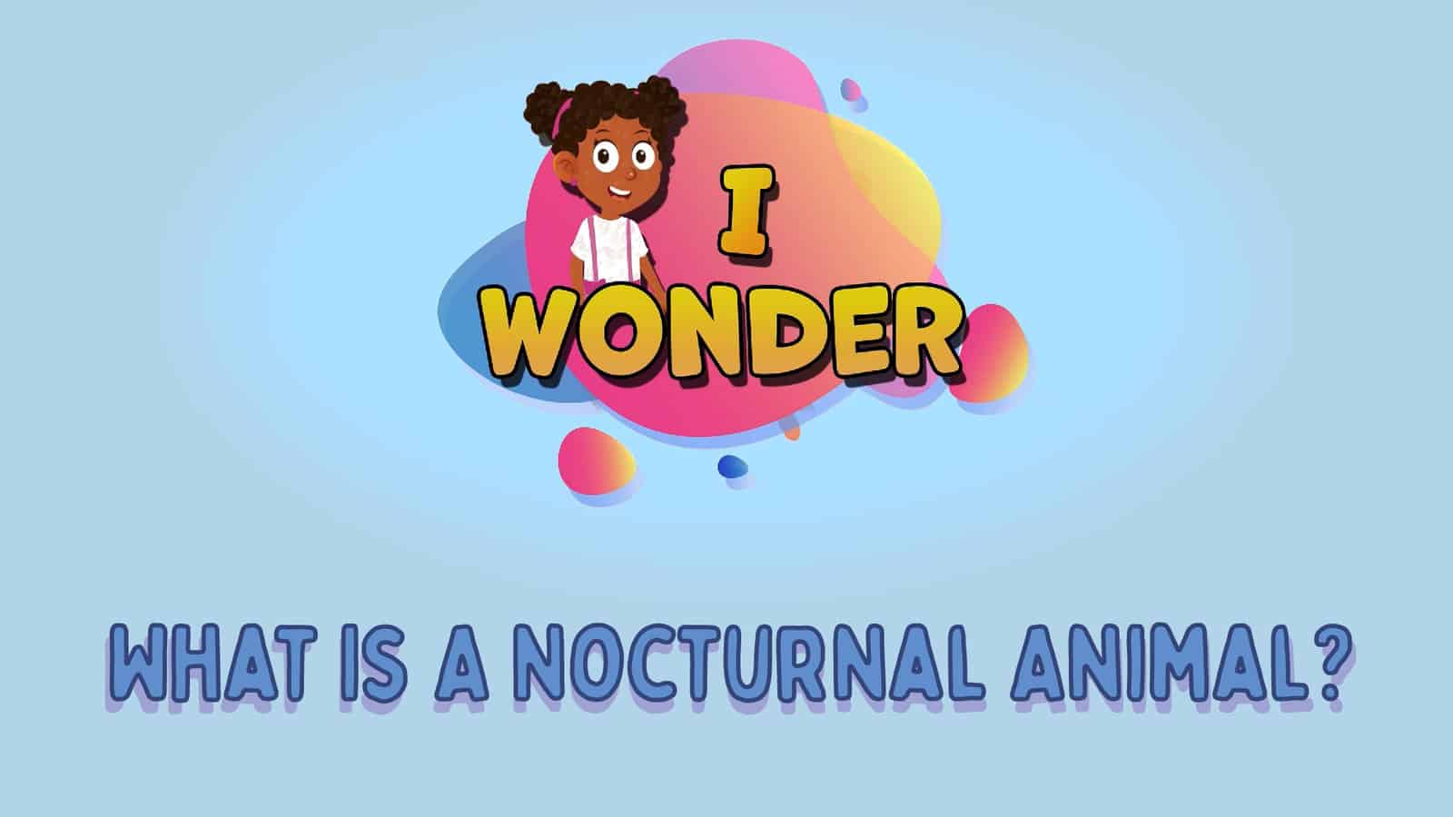 What Is A Nocturnal Animal?