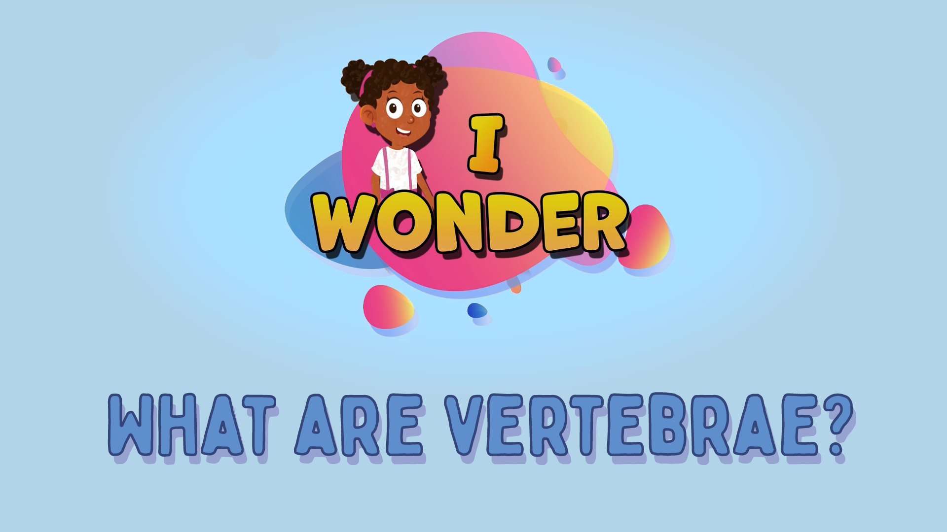 What Are Vertebrae?