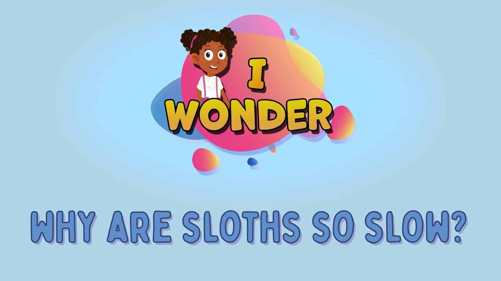 Why Are Sloths So Slow?