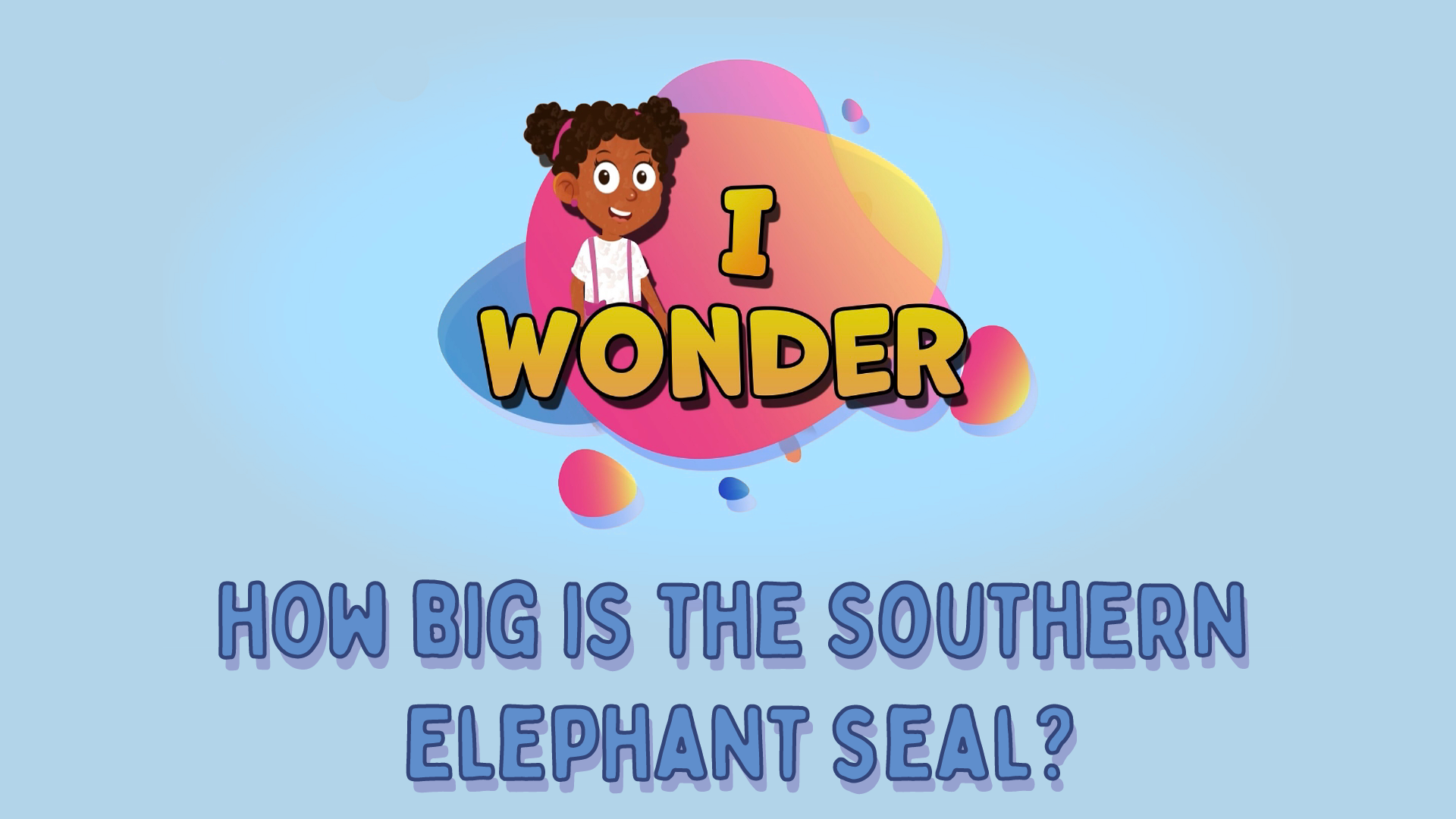 How Big Is The Southern Elephant Seal?