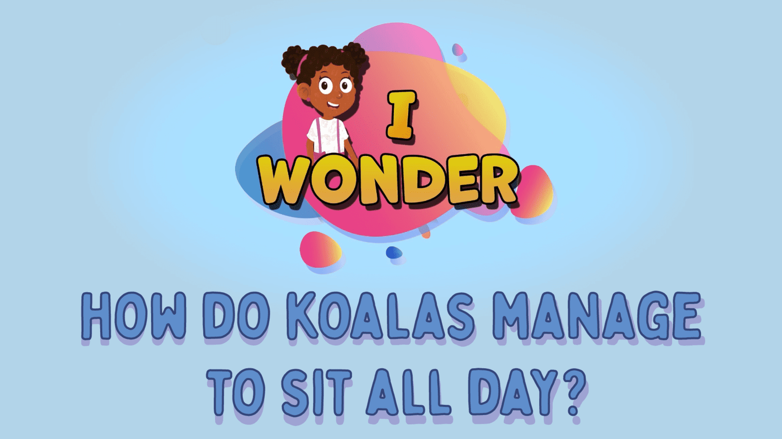 How Do Koalas Manage To Sit All Day?