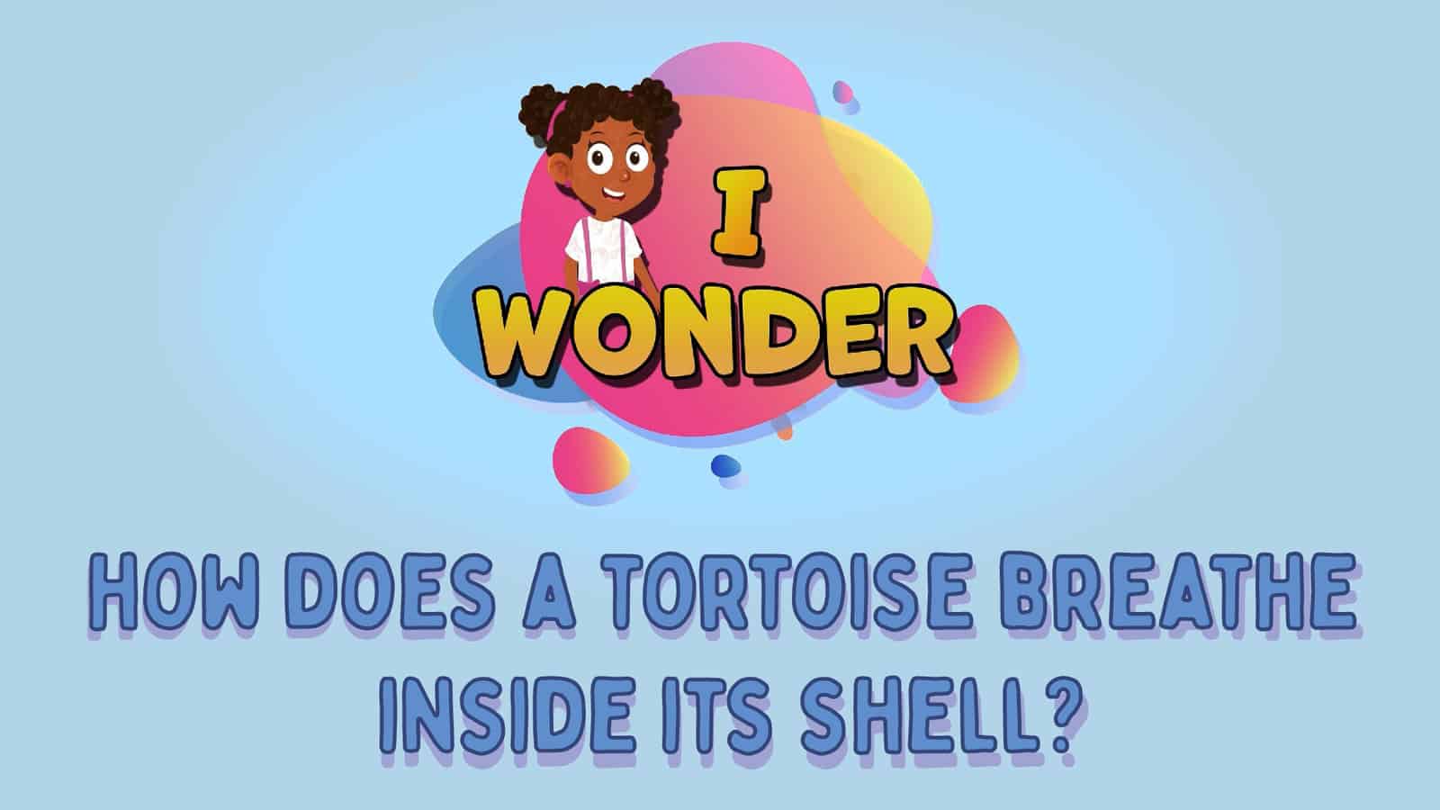 How Does A Tortoise Breathe Inside Its Shell?