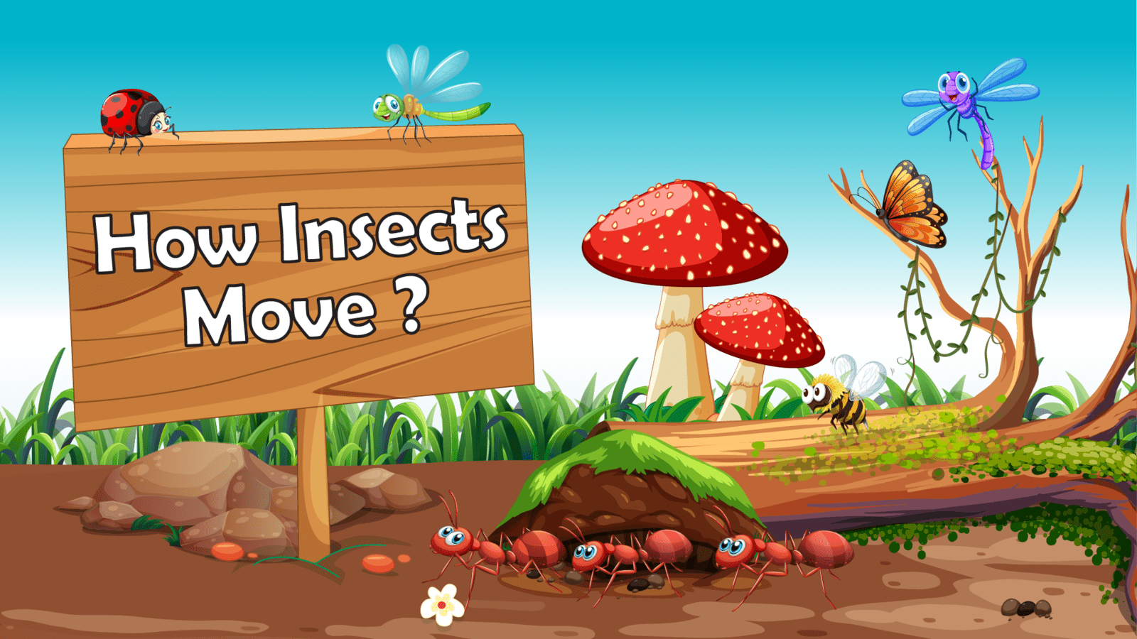 Move Like Insects How Insects Move - LearningMole