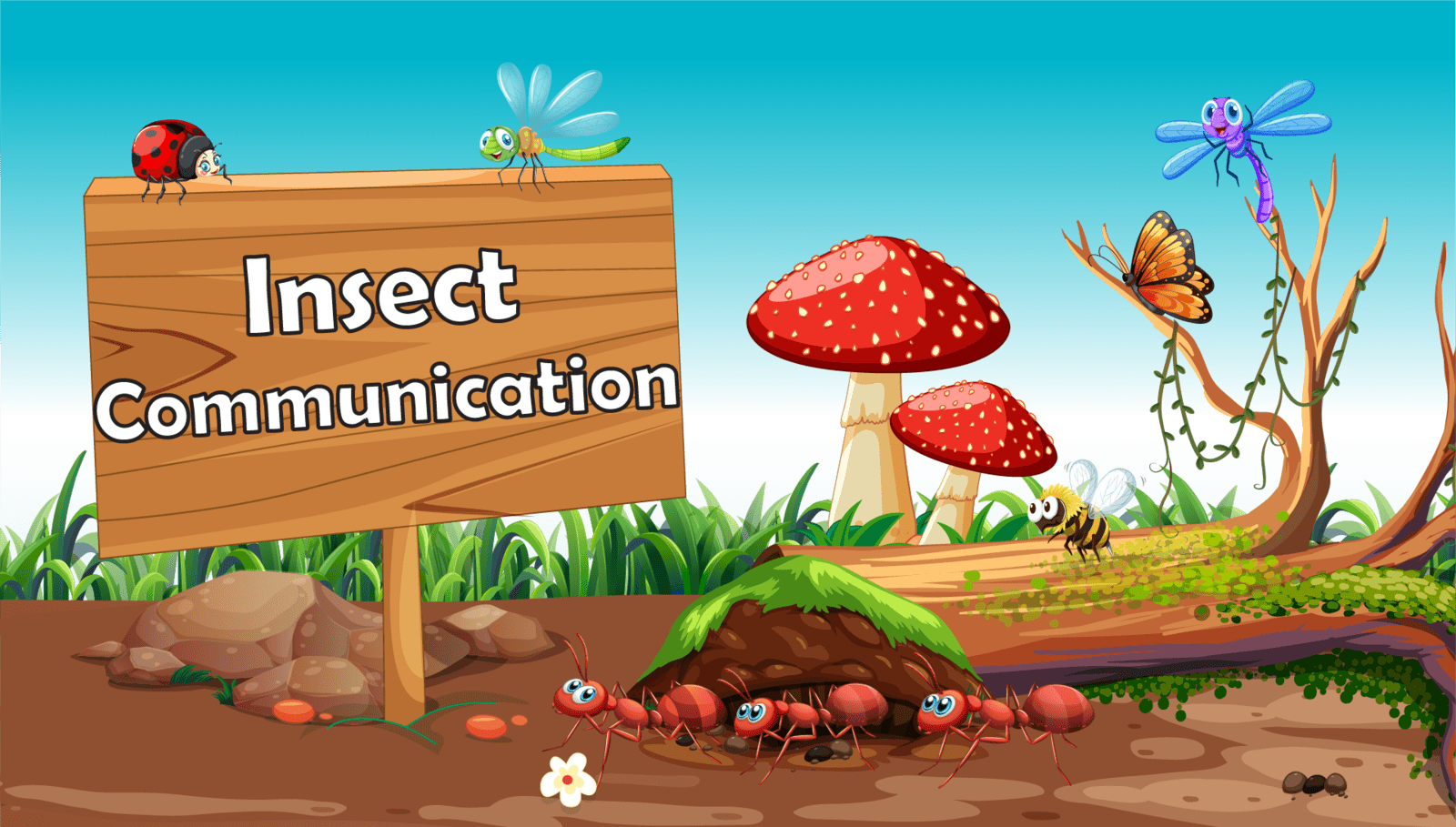 Insect Communication LearningMole