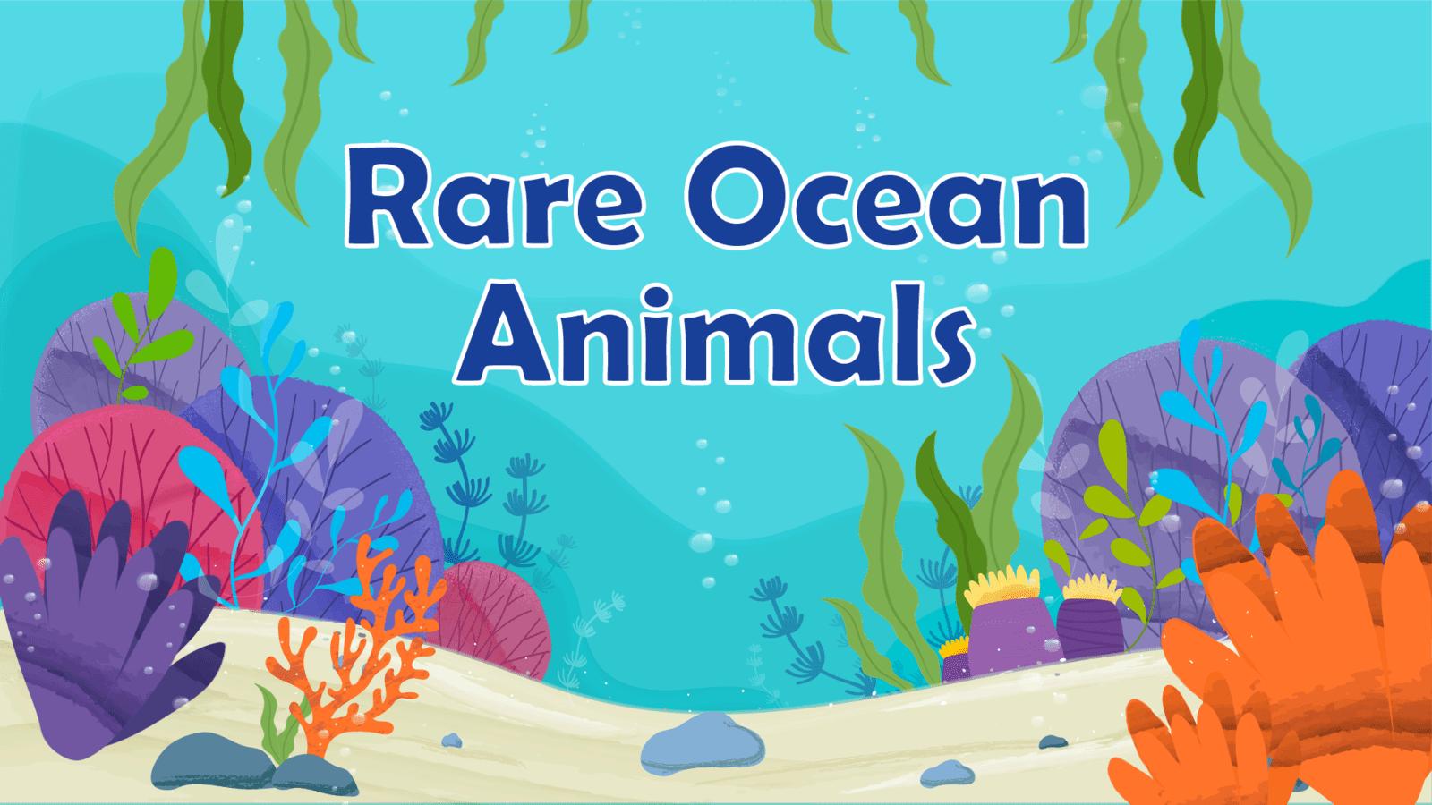 Rare Ocean Animals