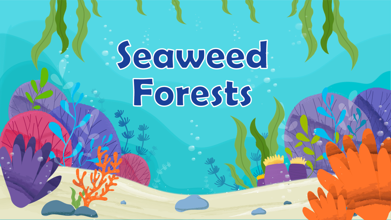 Seaweed Forests LearningMole