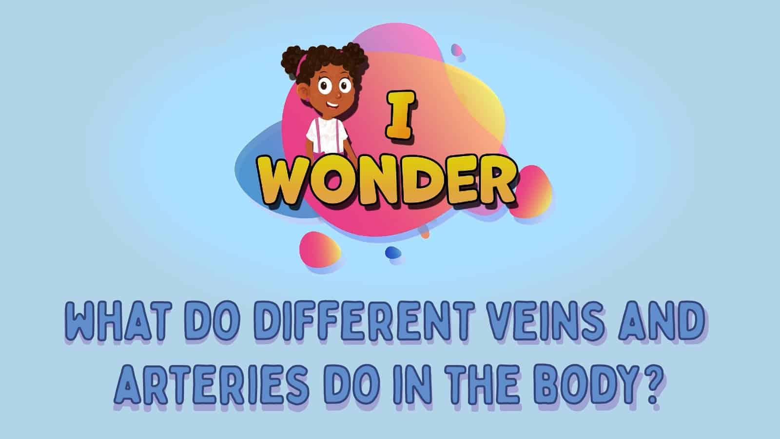 What Do Different Veins And Arteries Do In The Body?