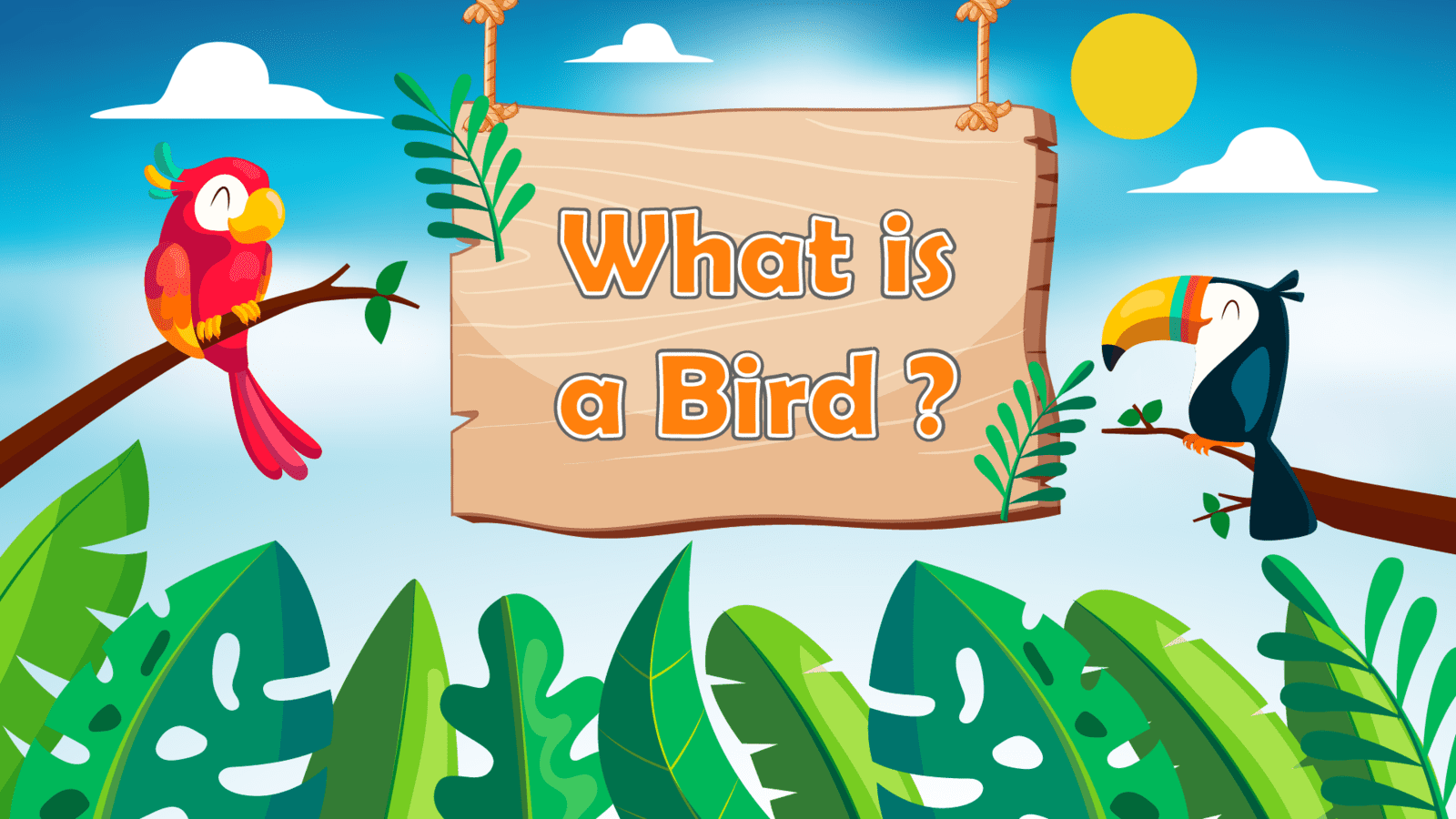 What is a Bird LearningMole