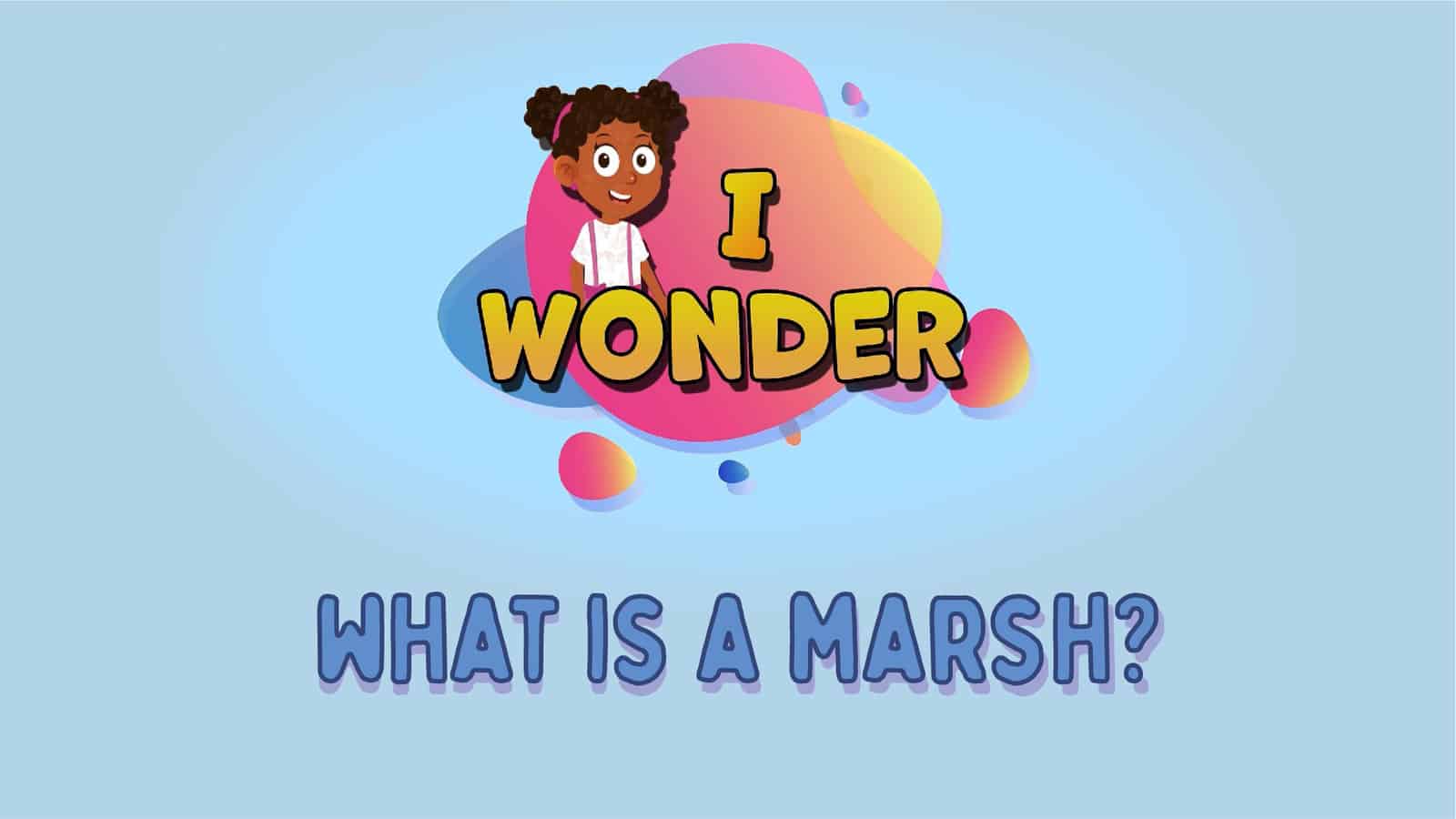 What Is A Marsh?