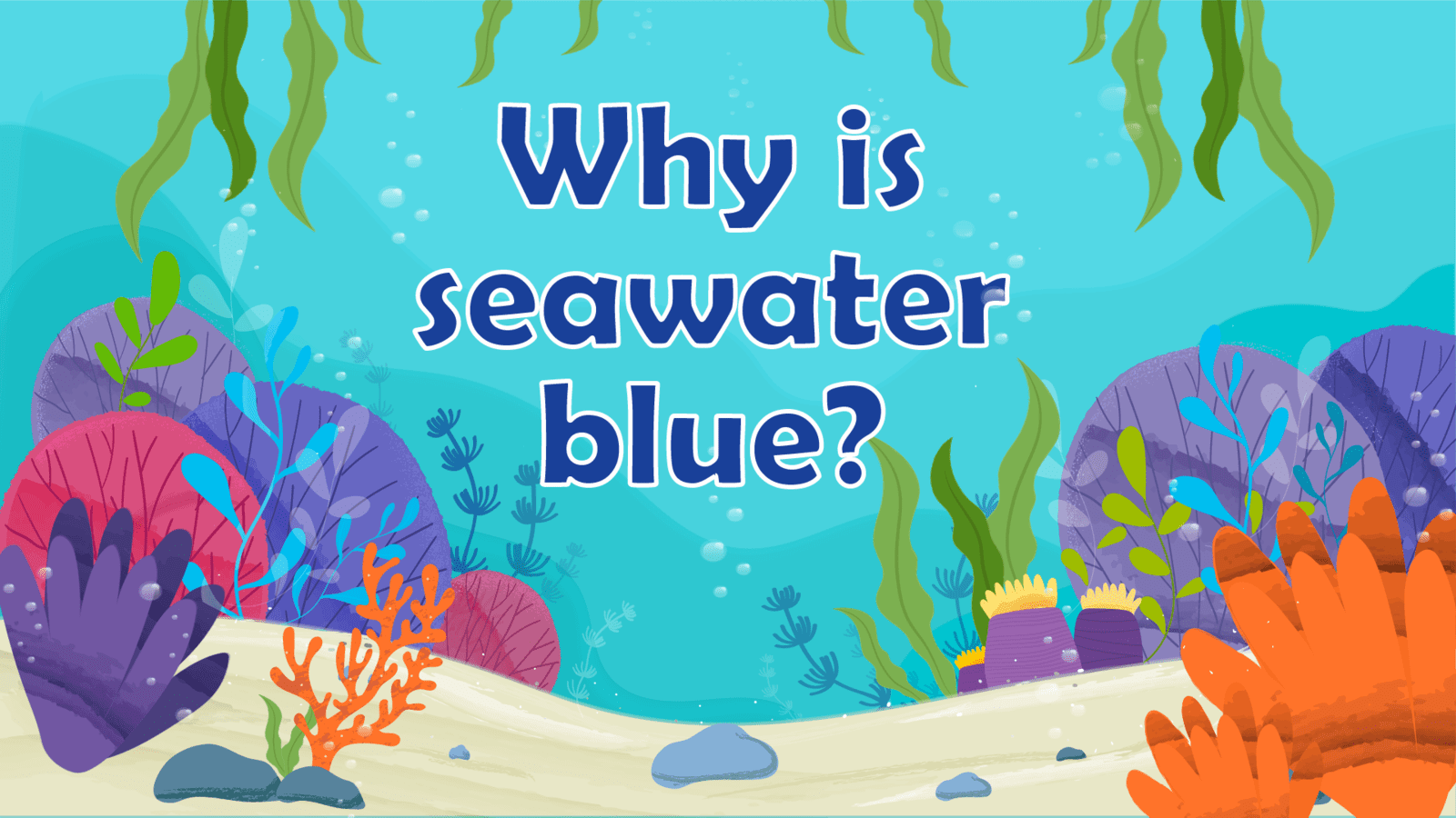 Why is Seawater Blue? LearningMole