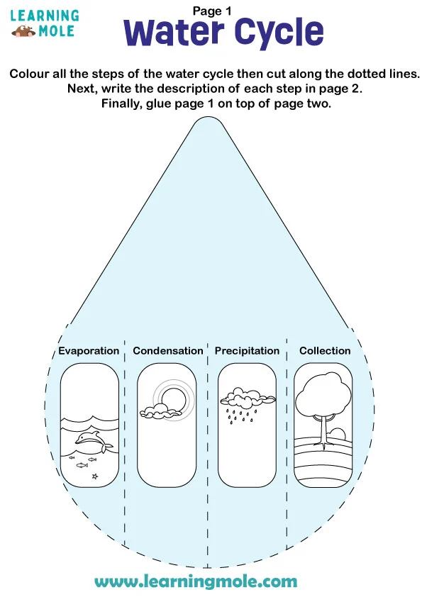 Water Cycle Activity