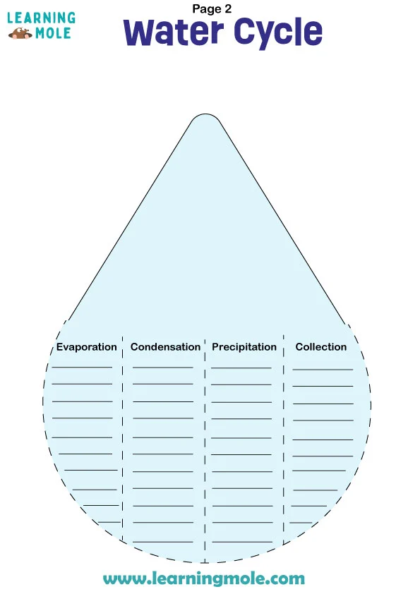 Water Cycle Activity