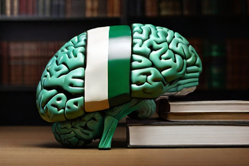 Unveiling Nigeria’s Education Landscape: An Impressive Statistical Overview