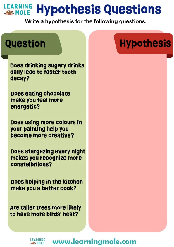 Hypothesis Questions Activity