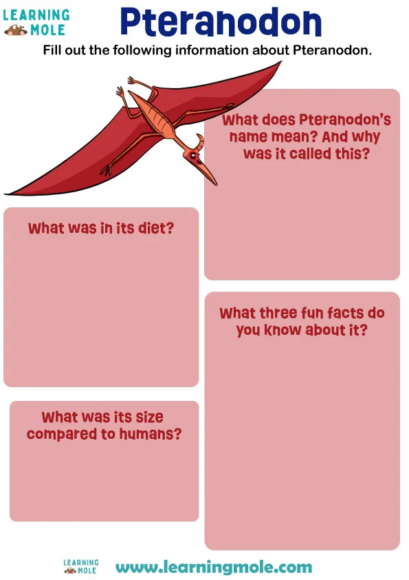 Pteranodon Activity