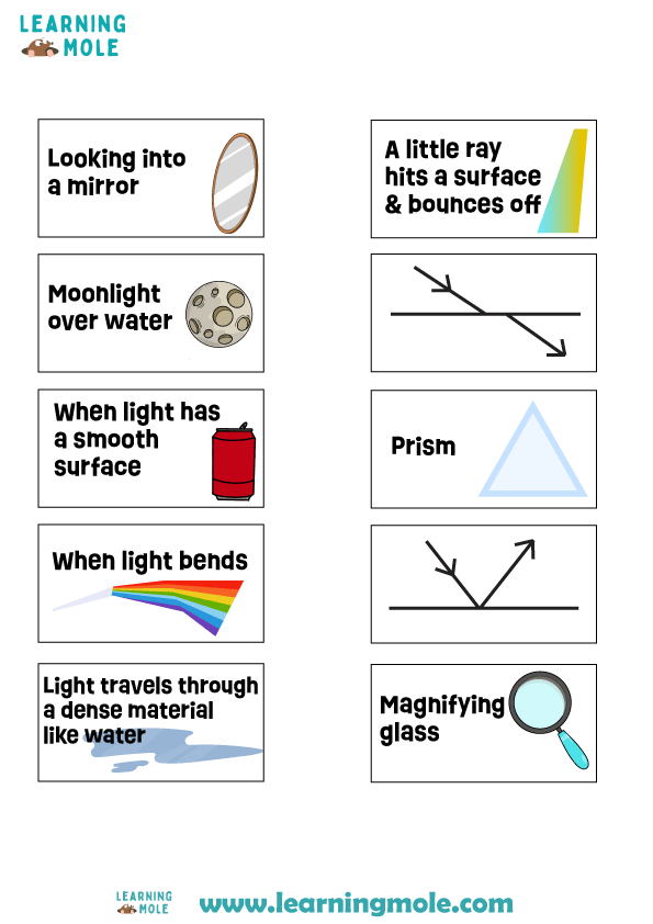 Reflection or Refraction Activity
