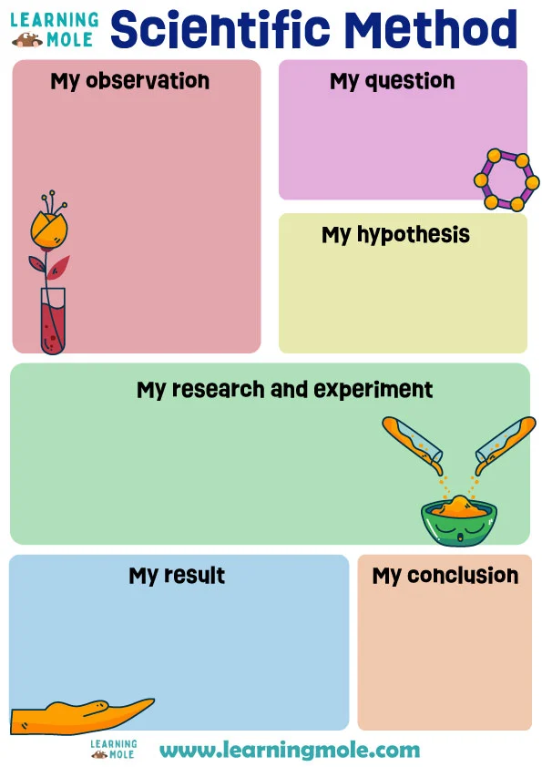 Scientific Method Hypothesis Activity