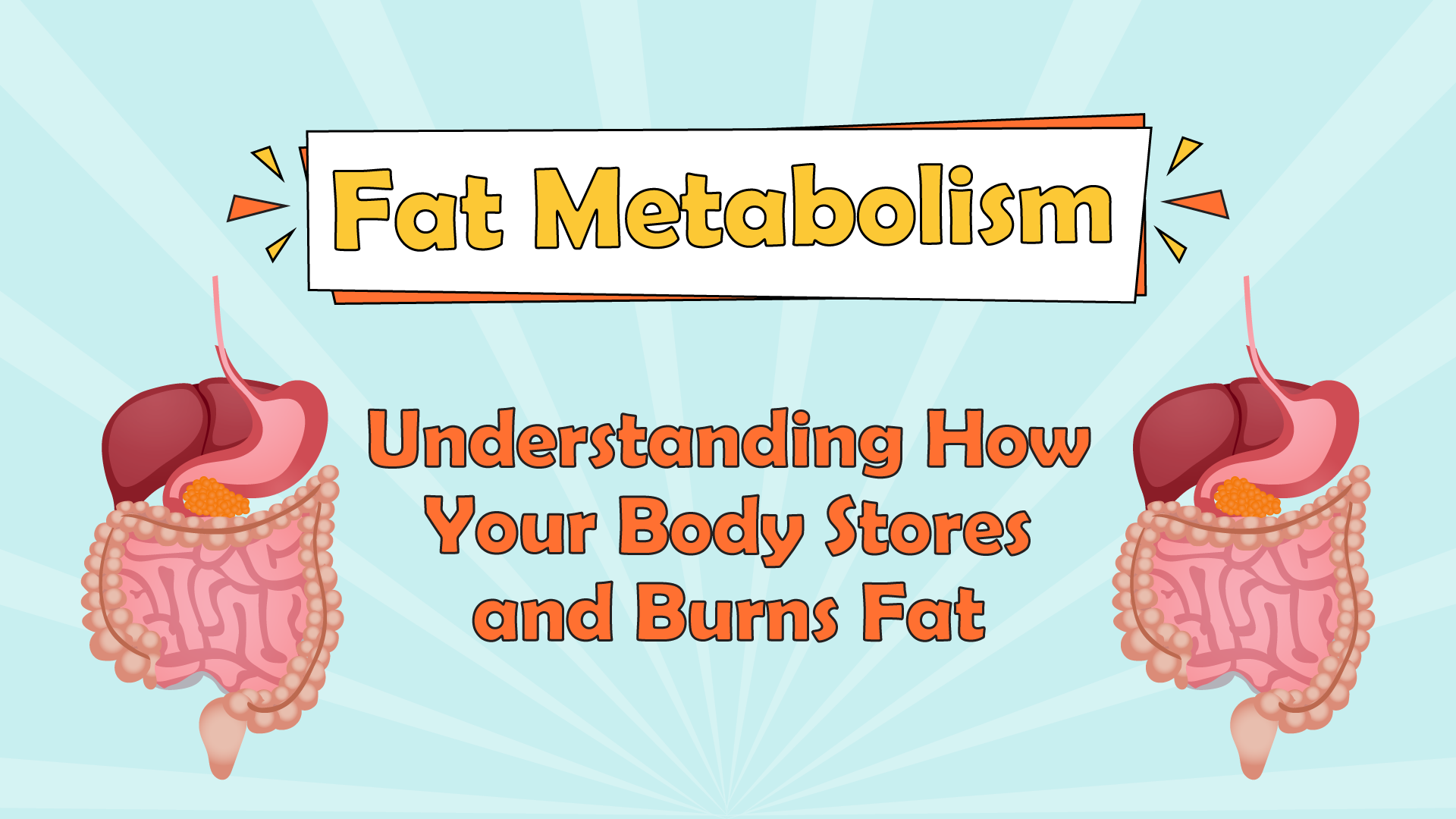 Fat Metabolism: Understanding How Your Body Stores and Burns Fat