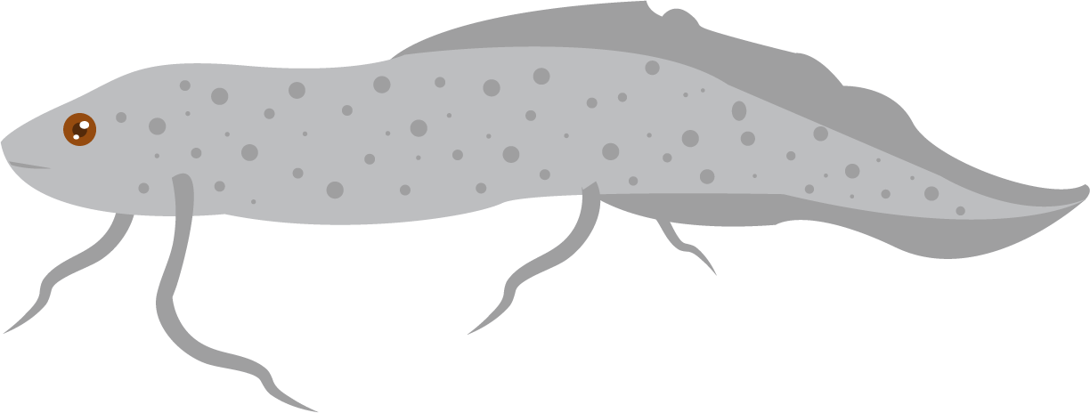Fish Facts for Kids - 5 Famous Facts about Fish Fish Facts for Kids LearningMole Fish Facts for Kids LearningMole
