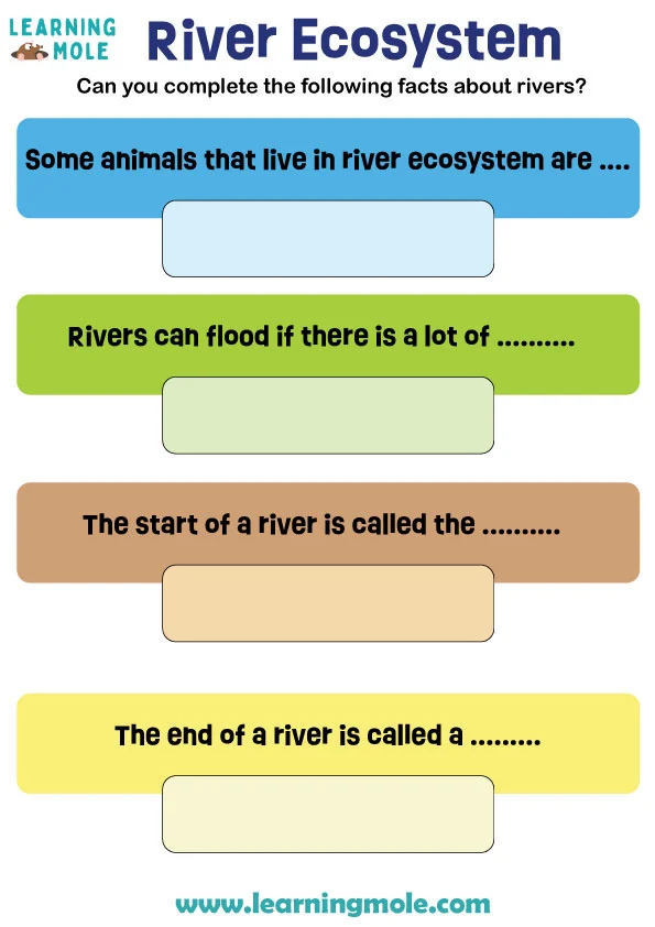 River Ecosystem