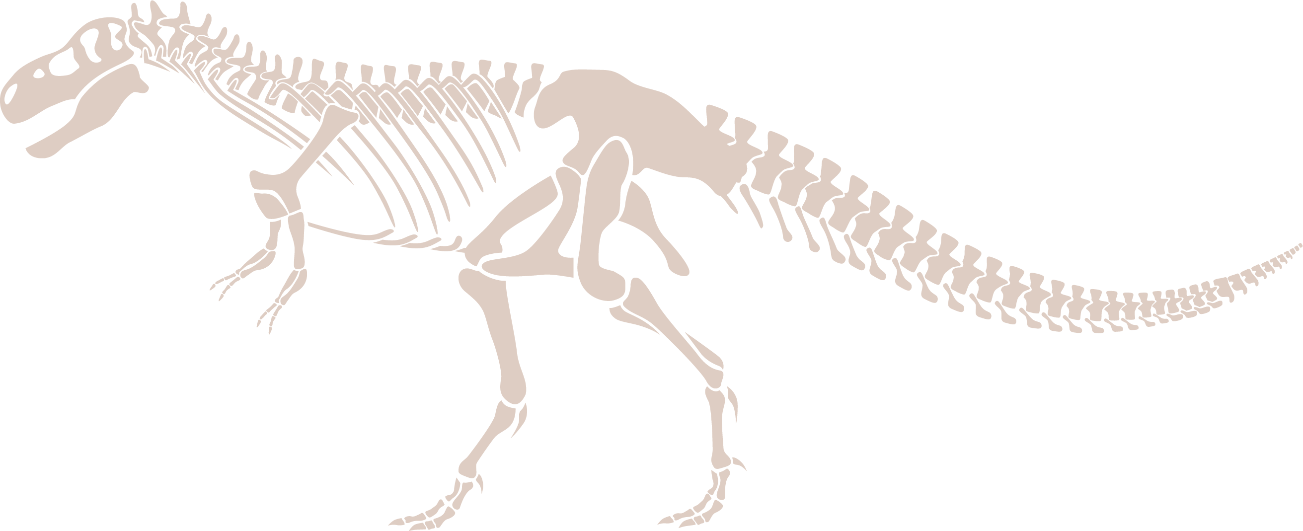 Giganotosaurus Facts for Kids - 5 Gorgeous Facts about Giganotosaurus Giganotosaurus Facts for Kids LearningMole Giganotosaurus Facts for Kids LearningMole