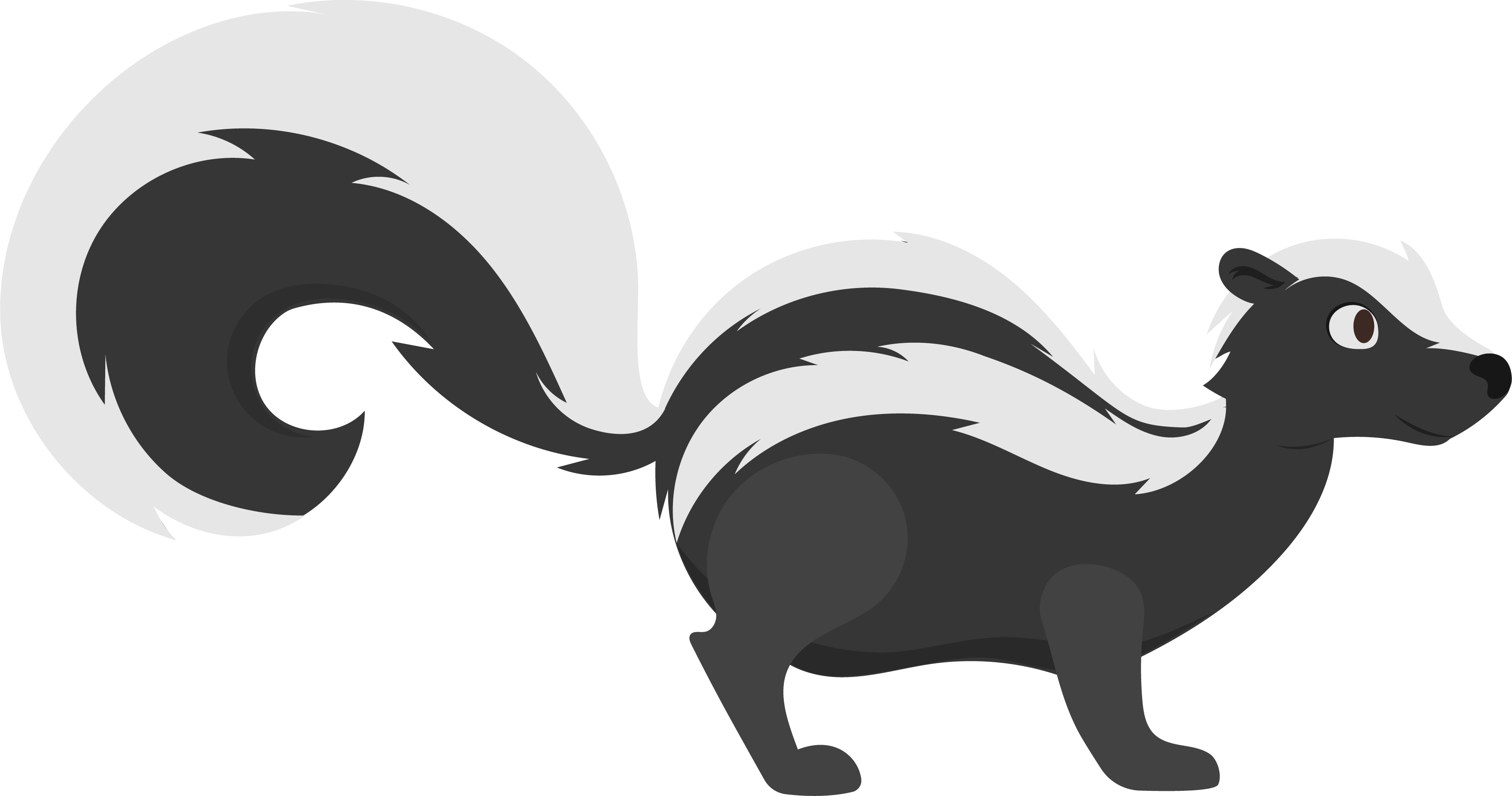 Skunks Facts for Kids - 5 Stunning Facts about Skunks - LearningMole
