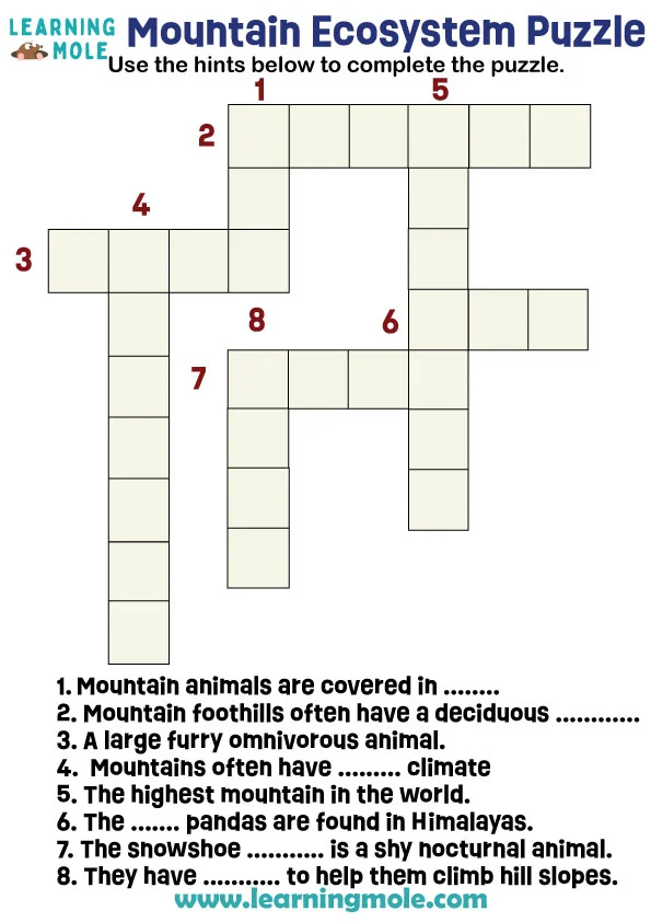 Mountain Ecosystem Puzzle