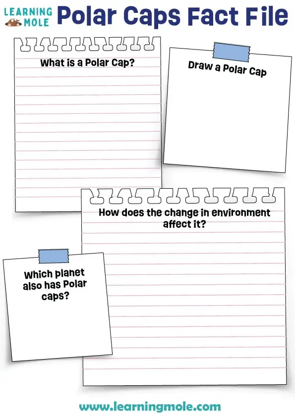 Polar Caps Fact File