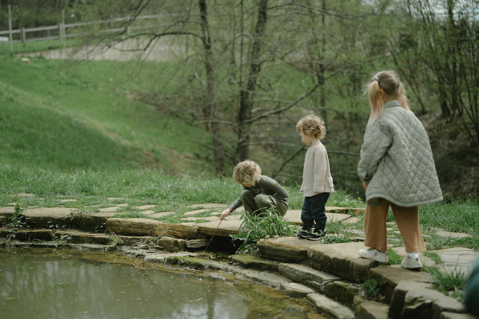 Get Wild! Fun Outdoor Adventures for Kids Outdoor Adventures,outdoor activities,outdoor play,outdoors LearningMole Outdoor Adventures,outdoor activities,outdoor play,outdoors LearningMole