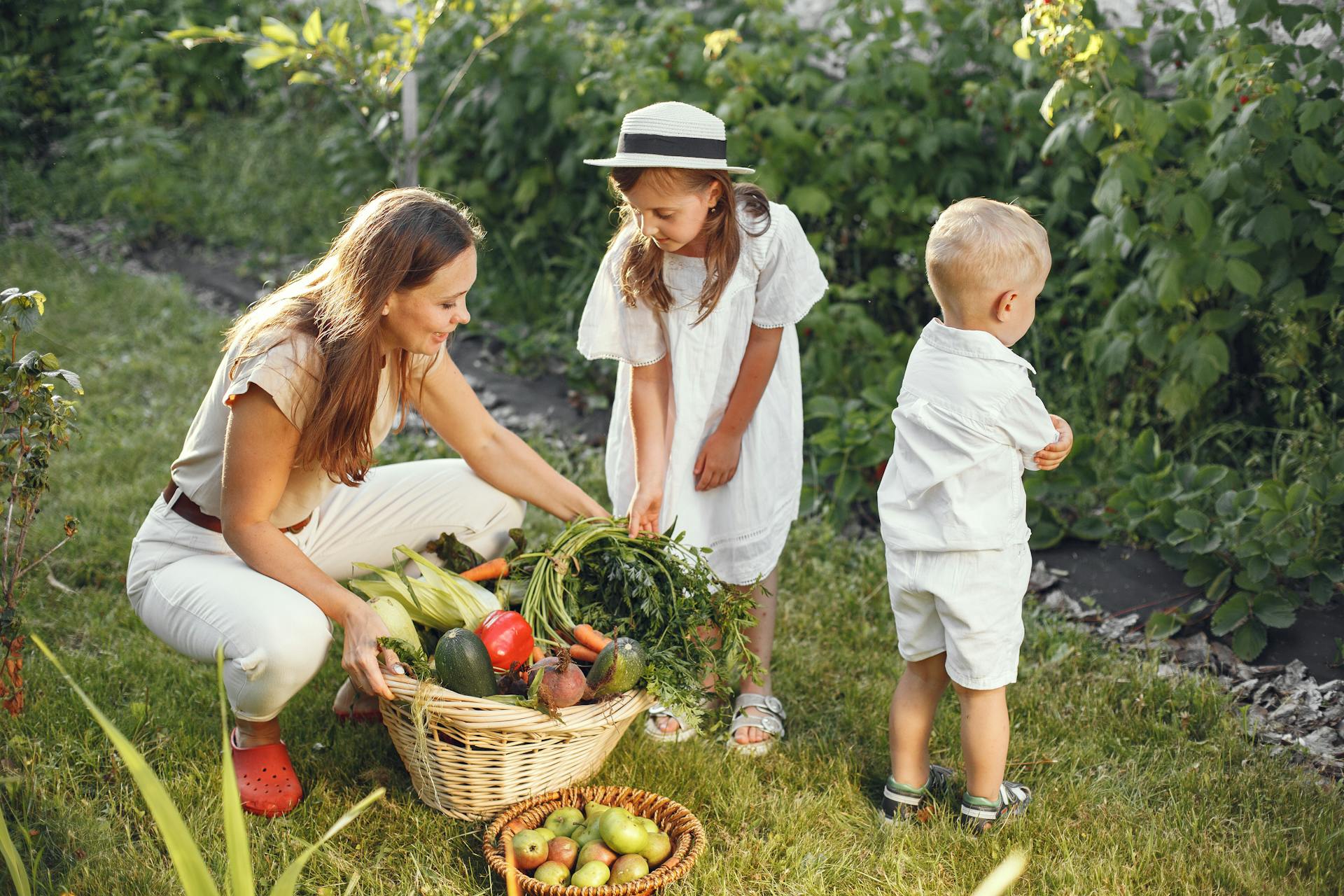 Planting Seeds: Fun Activities for Children Planting seeds,Fun activities,children LearningMole Planting seeds,Fun activities,children LearningMole