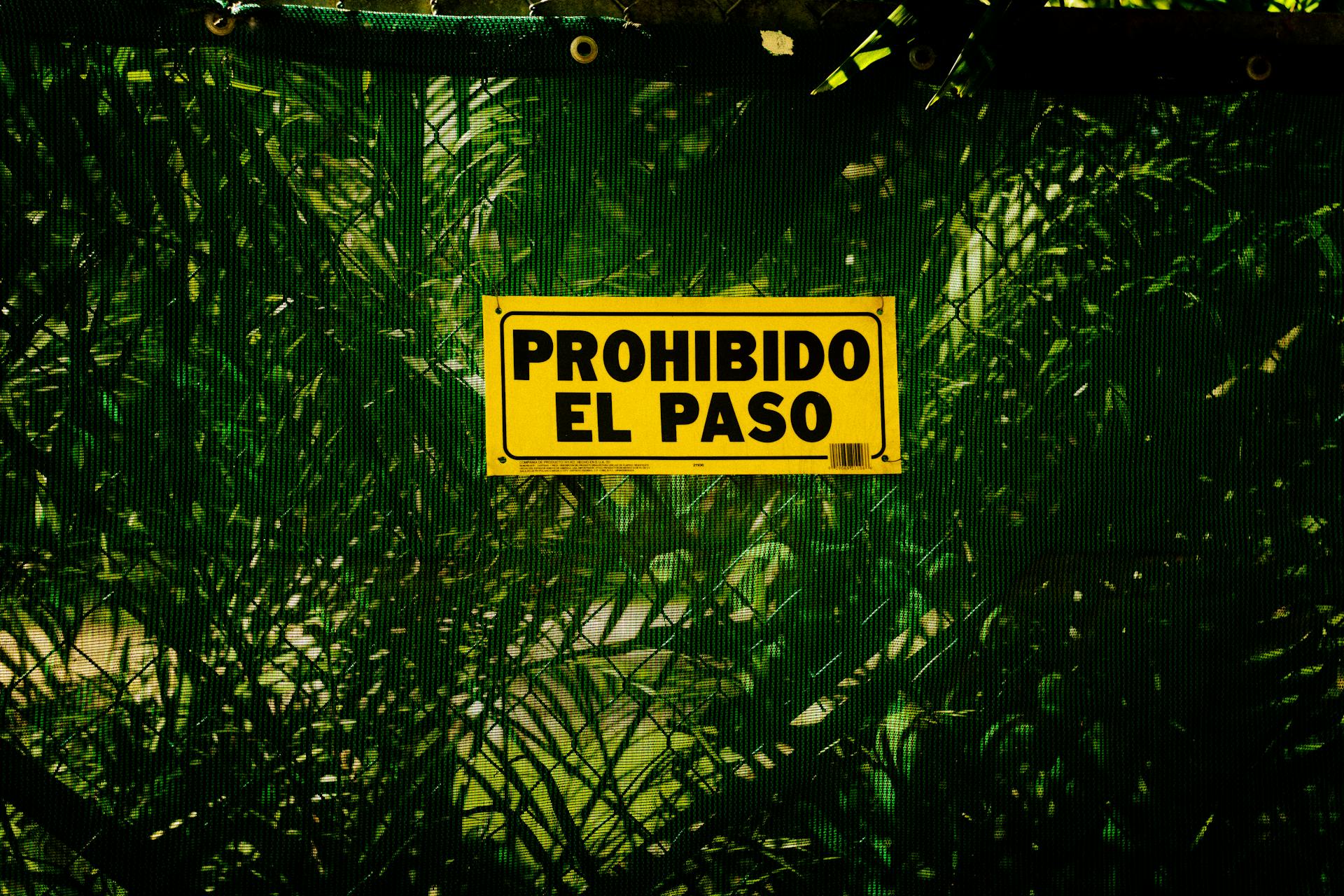 ¡Hola y Bienvenidos! Easy Steps to Start Learning Spanish with Enjoyable Activities Hola y Bienvenidos LearningMole Hola y Bienvenidos LearningMole