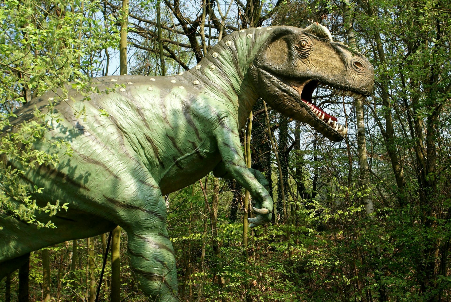 Dinosaur Discoveries: Digging Deeper with Data - Unearthing Insights with Modern Technology Dinosaur Discoveries LearningMole Dinosaur Discoveries LearningMole