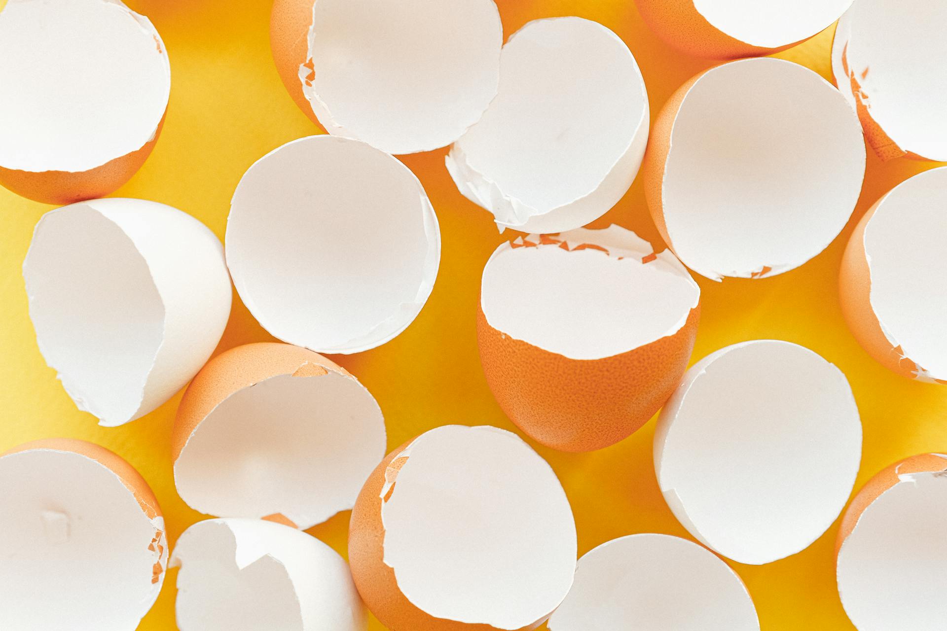 Rubber Egg Science: Exploring Exquisite Osmosis for Bouncy Experiments Rubber Egg Science LearningMole Rubber Egg Science LearningMole