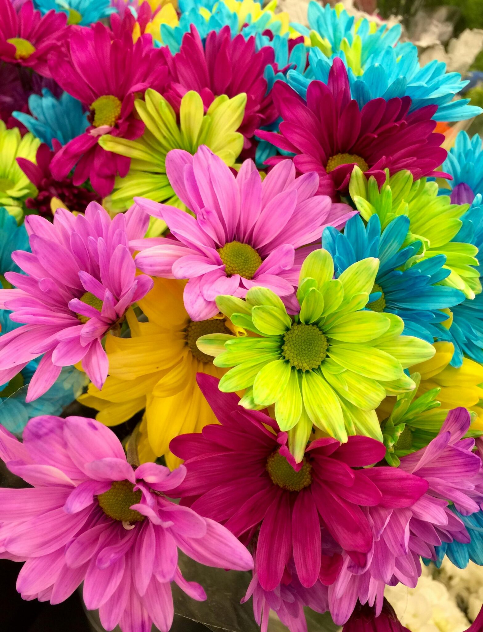 Spring Blooms and Maths Puzzles: Unveiling Outstanding Nature's Geometric Wonders Spring Blooms and Maths Puzzles LearningMole Spring Blooms and Maths Puzzles LearningMole