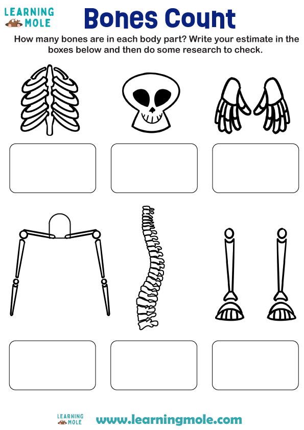Bones Count Activity