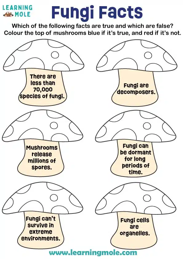 Fungi Facts Activity