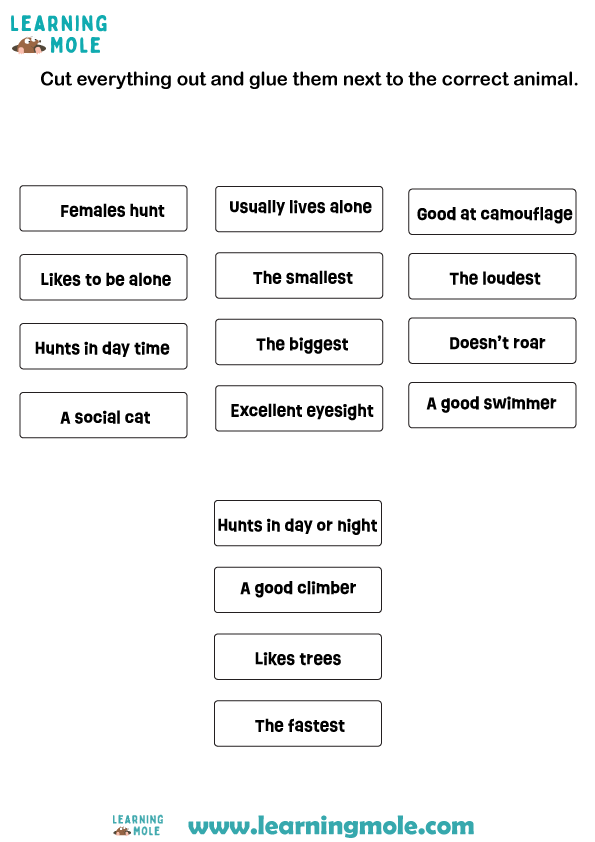 Largest Cats Activity