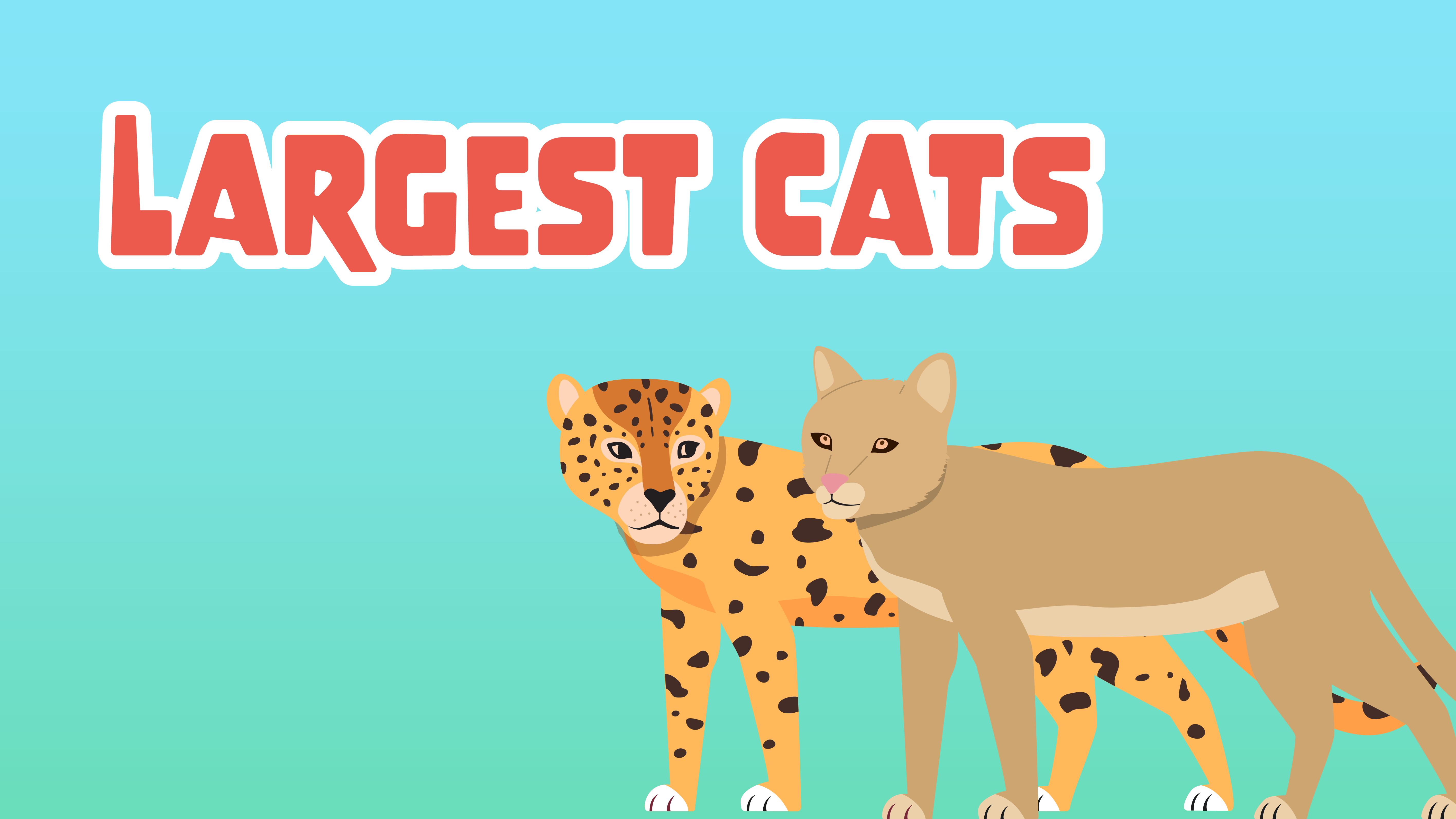Largest Cats Facts for Kids: 6 Huge Facts about Largest Cats