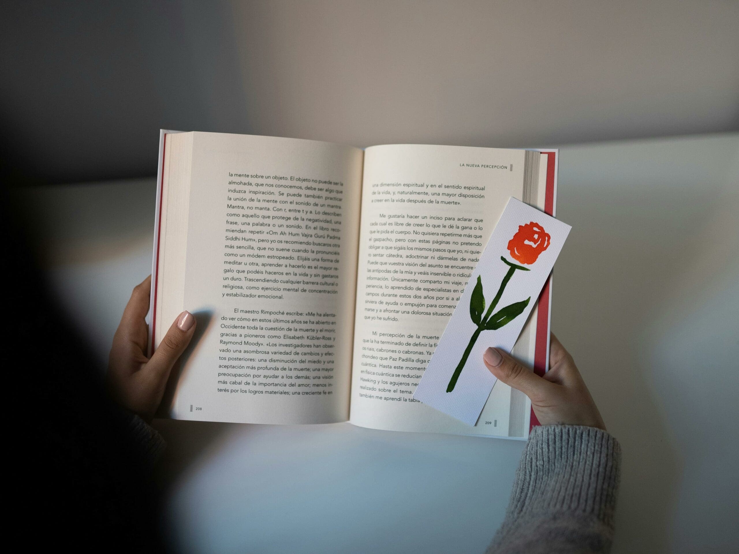 Paper Quilling LearningMole